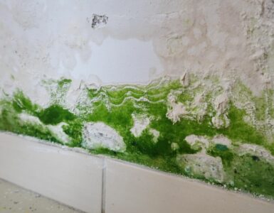 Mold damage